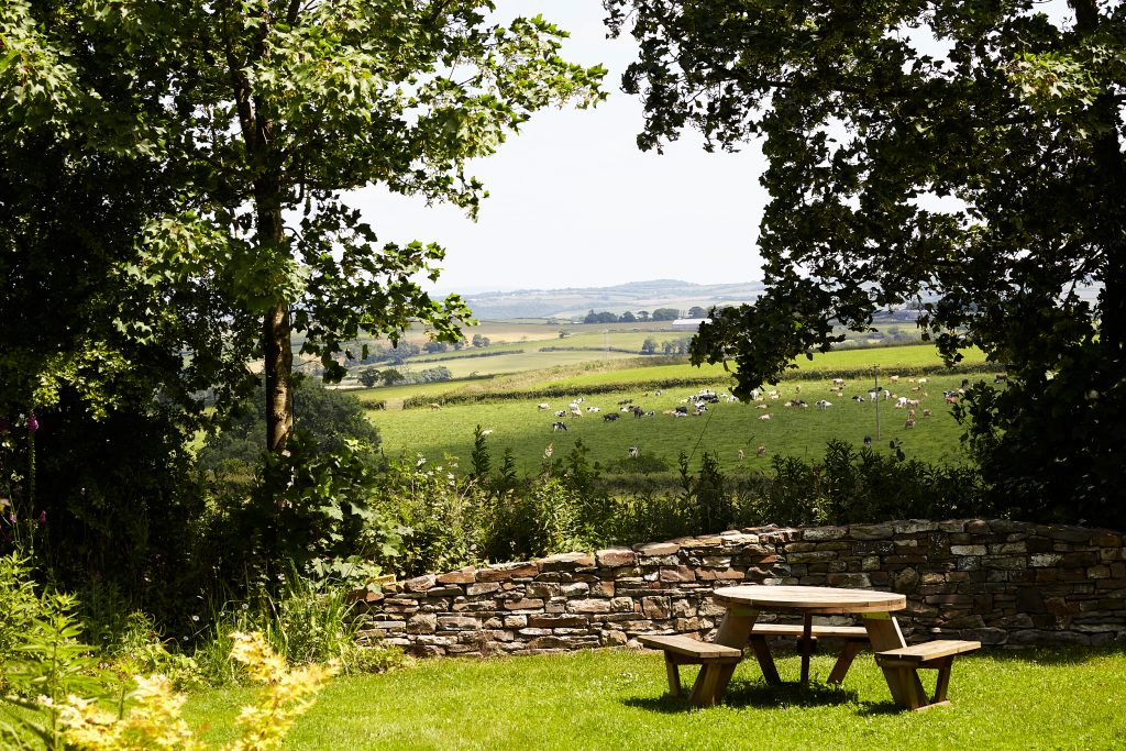 events_barn_devon_garden_party_family_gathering_ 13